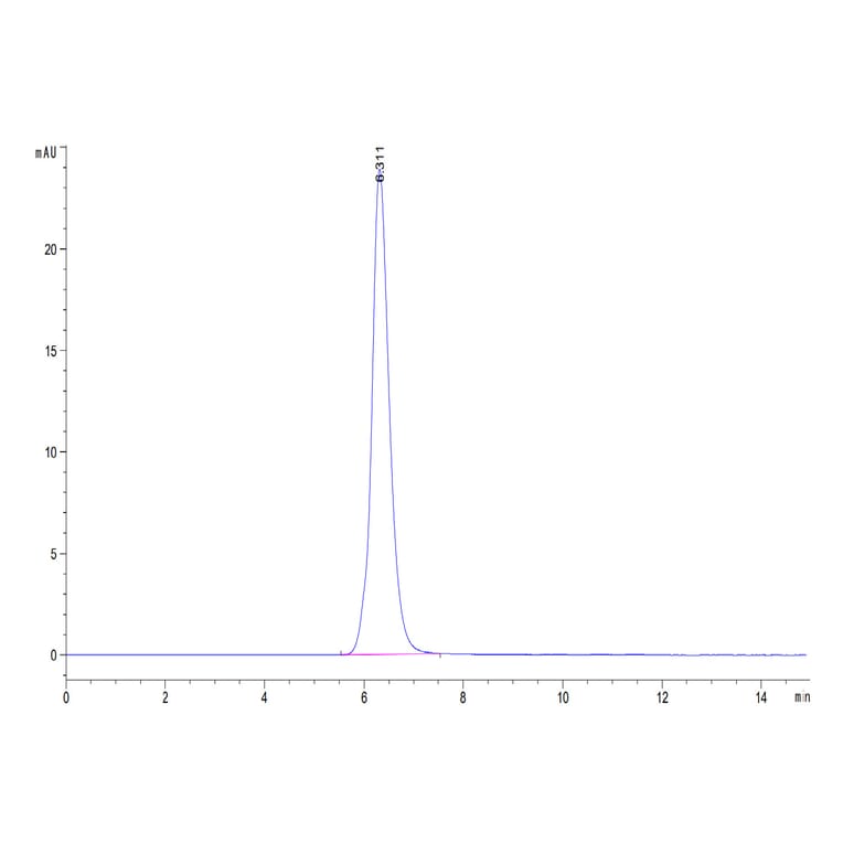 SEC-HPLC - Recombinant Human B7-H3 Protein (C-terminal Human Fc Tag) (A330138) - Antibodies.com
