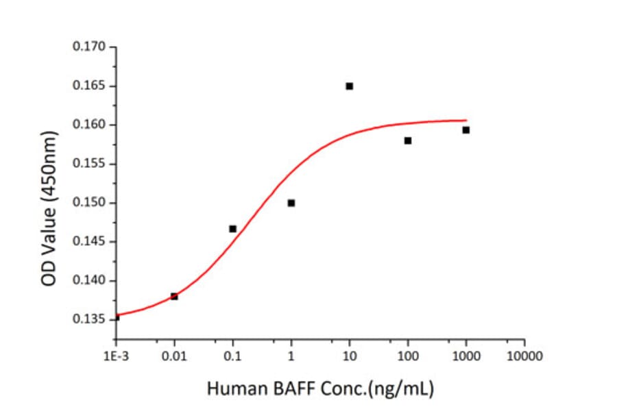Proliferation Assay - Recombinant Human BAFF Protein (A330142) - Antibodies.com