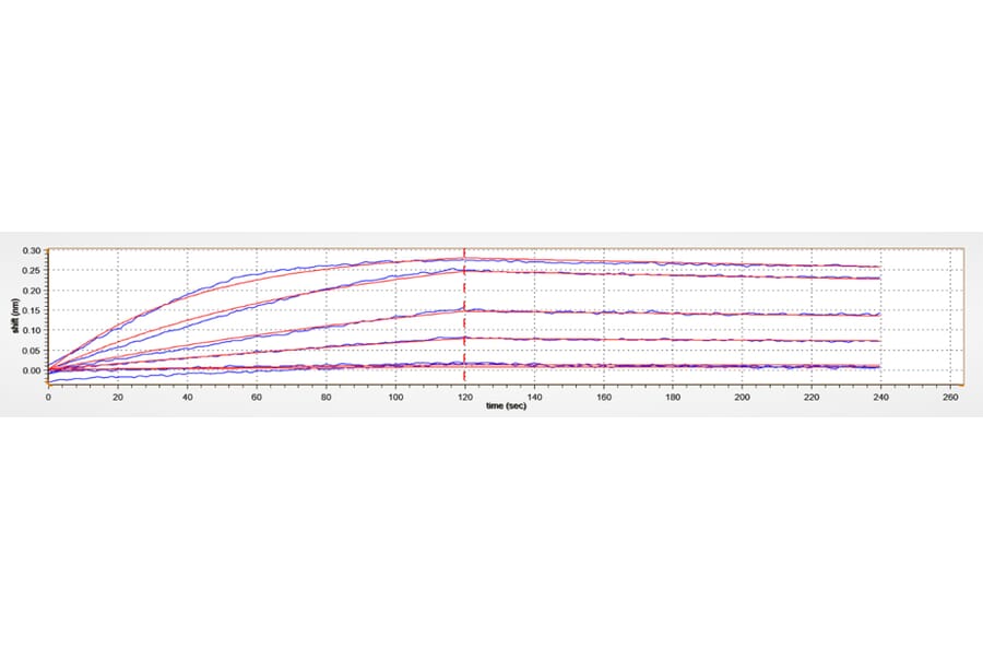 BLI Assay - Recombinant Human BAFF Protein (A330142) - Antibodies.com