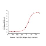 Standard Curve - Recombinant human BAFF Protein (N-terminal His Tag) (A330143) - Antibodies.com