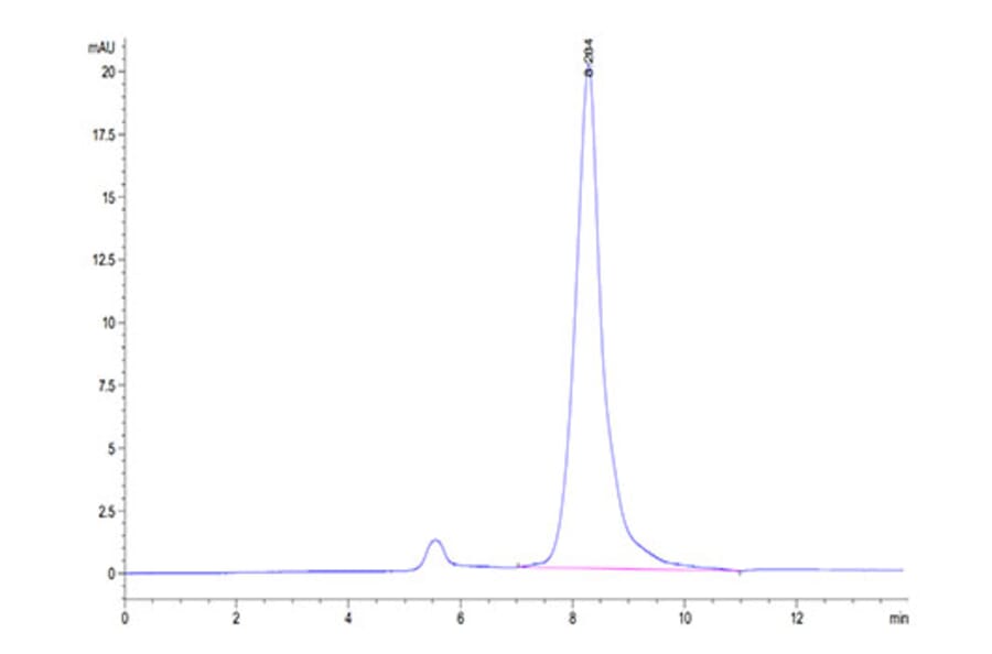 SEC-HPLC - Recombinant Mouse BAMBI Protein (C-terminal Human Fc Tag) (A330144) - Antibodies.com