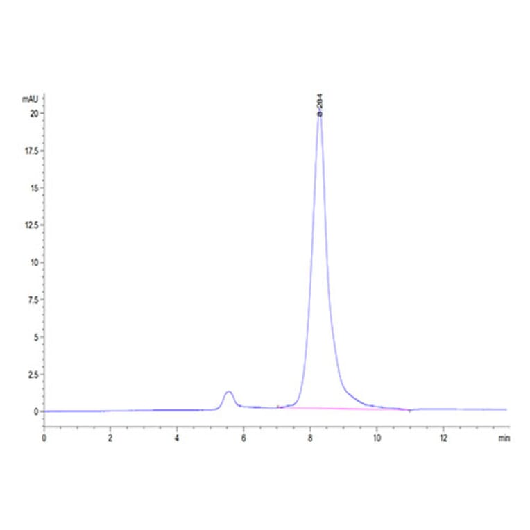 SEC-HPLC - Recombinant Mouse BAMBI Protein (C-terminal Human Fc Tag) (A330144) - Antibodies.com