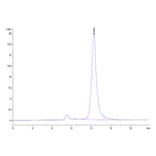 SEC-HPLC - Recombinant Mouse BAMBI Protein (C-terminal Human Fc Tag) (A330144) - Antibodies.com