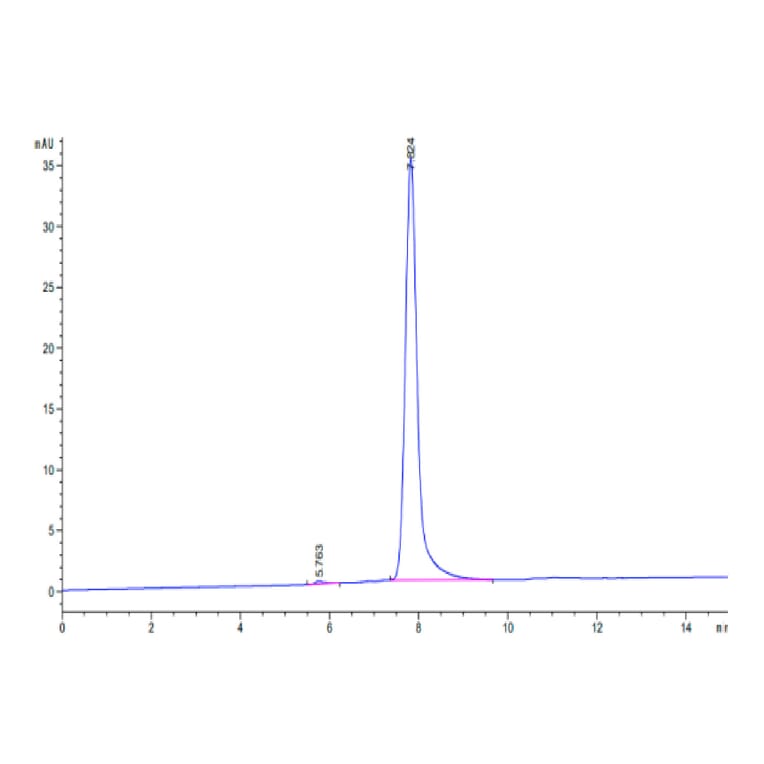 SEC-HPLC - Recombinant Human BCAM Protein (C-terminal His Tag) (A330145) - Antibodies.com
