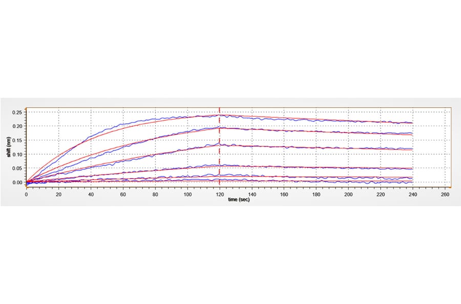 BLI Assay - Recombinant Human BCMA Protein (C-terminal Human Fc and His Tag) (A330148) - Antibodies.com