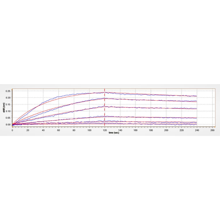 BLI Assay - Recombinant Human BCMA Protein (C-terminal Human Fc and His Tag) (A330148) - Antibodies.com
