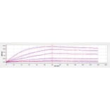 BLI Assay - Recombinant Human BCMA Protein (C-terminal Human Fc and His Tag) (A330148) - Antibodies.com