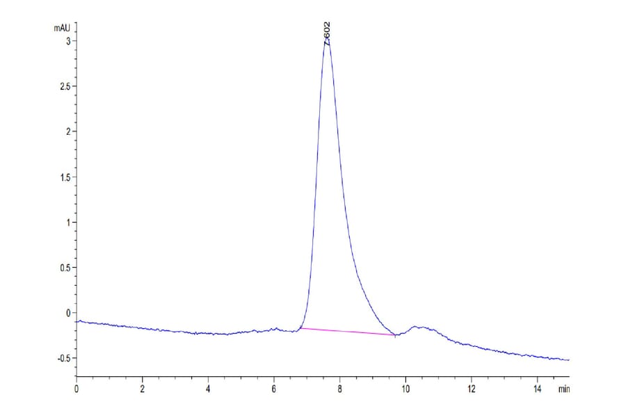 SEC-HPLC - Recombinant Human BCMA Protein (Biotin) (C-terminal His and Avi Tag) (A330149) - Antibodies.com