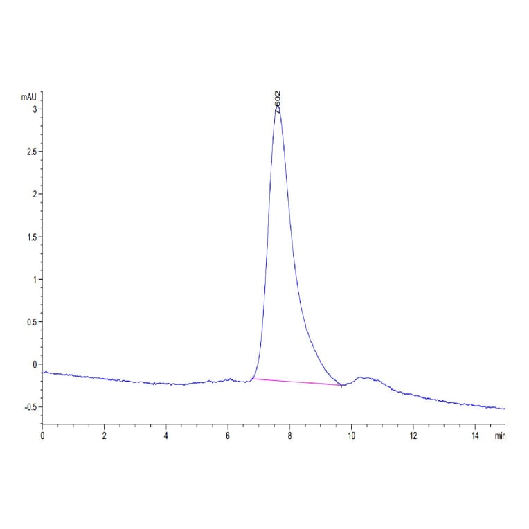 SEC-HPLC - Recombinant Human BCMA Protein (Biotin) (C-terminal His and Avi Tag) (A330149) - Antibodies.com