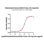 Standard Curve - Recombinant Human BCMA Protein (Biotin) (C-terminal His and Avi Tag) (A330149) - Antibodies.com
