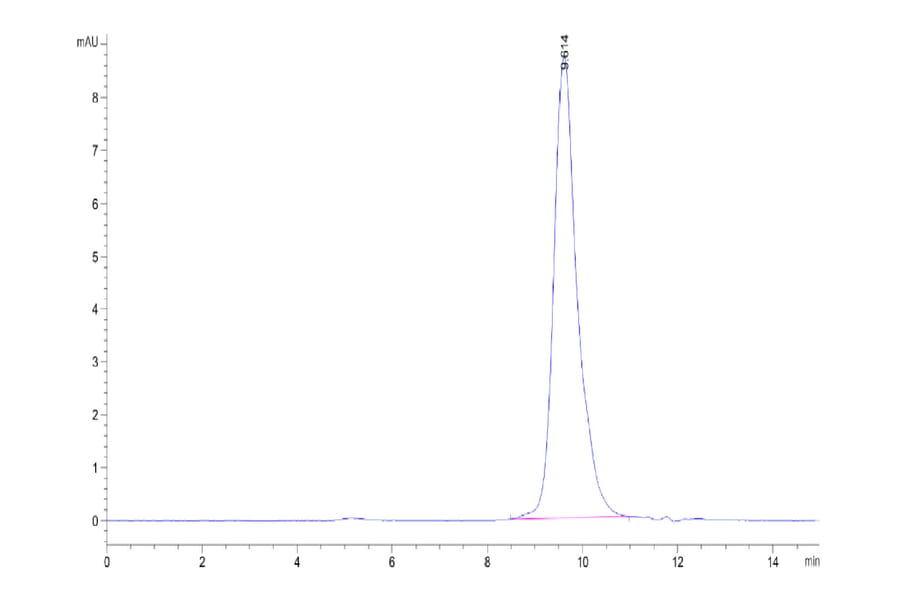 SEC-HPLC - Recombinant Human BCMA Protein (C-terminal His and Avi Tag) (A330150) - Antibodies.com