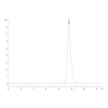 SEC-HPLC - Recombinant Human BCMA Protein (C-terminal His and Avi Tag) (A330150) - Antibodies.com