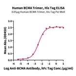 Standard Curve - Recombinant Human BCMA Protein (C-terminal His and Avi Tag) (A330150) - Antibodies.com