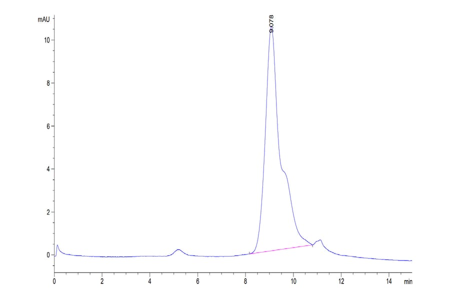 SEC-HPLC - Recombinant Human BCMA Protein (Biotin) (C-terminal His and Avi Tag) (A330151) - Antibodies.com