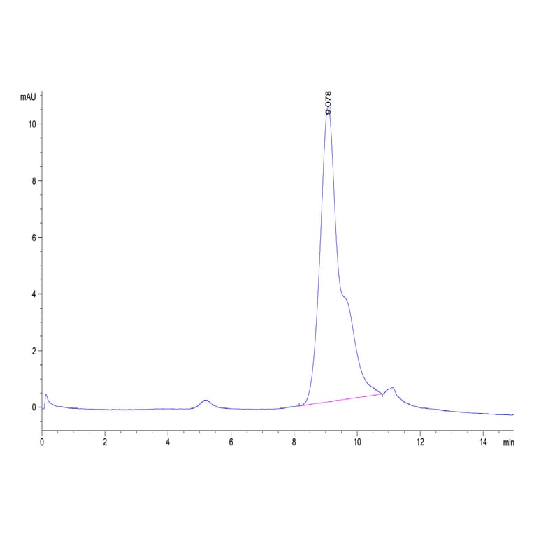 SEC-HPLC - Recombinant Human BCMA Protein (Biotin) (C-terminal His and Avi Tag) (A330151) - Antibodies.com