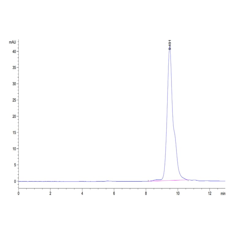 SEC-HPLC - Recombinant Human BCMA Protein (C-terminal His and Avi Tag) (A330152) - Antibodies.com