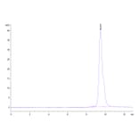 SEC-HPLC - Recombinant Human BCMA Protein (C-terminal His and Avi Tag) (A330152) - Antibodies.com