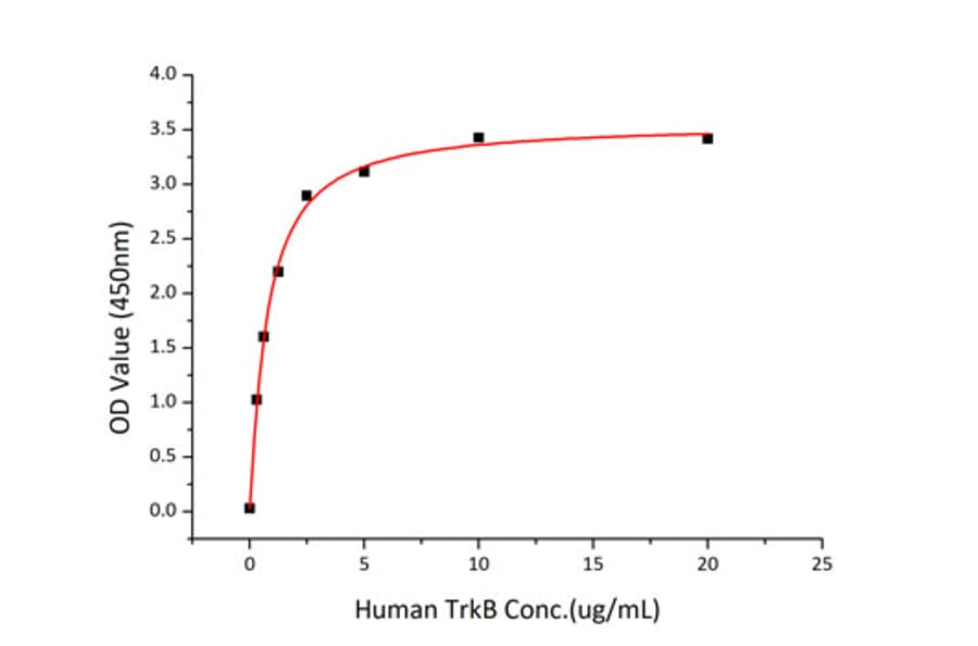 Standard Curve - Recombinant Human BDNF Protein (C-terminal His Tag) (A330154) - Antibodies.com