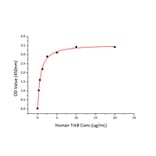 Standard Curve - Recombinant Human BDNF Protein (C-terminal His Tag) (A330154) - Antibodies.com