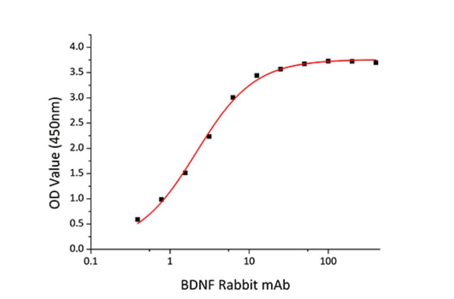 Standard Curve - Recombinant Human BDNF Protein (C-terminal His Tag) (A330154) - Antibodies.com