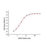 Standard Curve - Recombinant Human BDNF Protein (C-terminal His Tag) (A330154) - Antibodies.com
