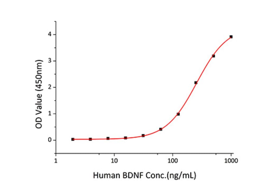 Standard Curve - Recombinant Human BDNF Protein (C-terminal His Tag) (A330154) - Antibodies.com