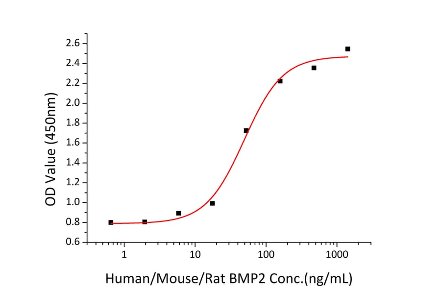 Standard Curve - Recombinant Human BMP2 Protein (A330161) - Antibodies.com