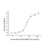 Standard Curve - Recombinant Human BMP2 Protein (A330161) - Antibodies.com