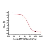 Cell Viability Assay - Recombinant Human BMPR1A Protein (C-terminal Human Fc and His Tag) (A330163) - Antibodies.com