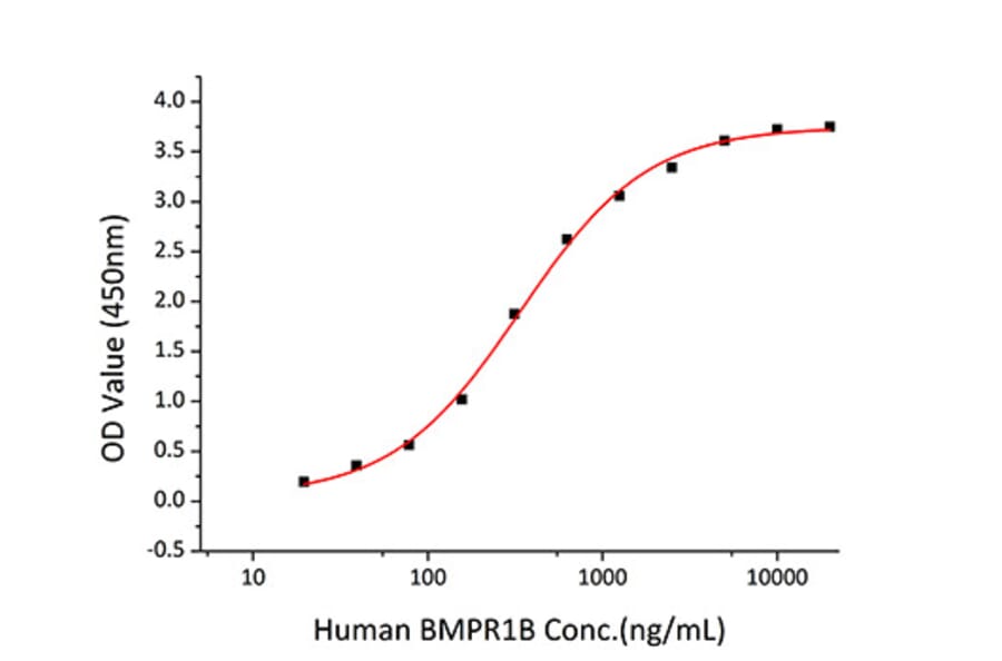 Standard Curve - Recombinant Human BMPR1B Protein (C-terminal Human Fc and His Tag) (A330164) - Antibodies.com