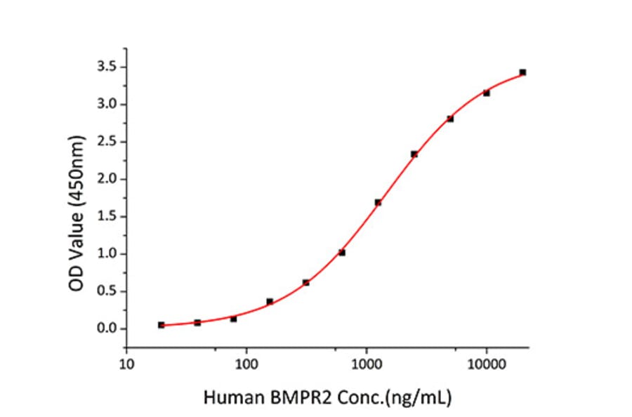 Standard Curve - Recombinant Human BMPR2 Protein (C-terminal Human Fc Tag) (A330165) - Antibodies.com