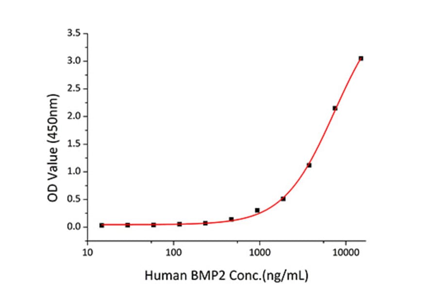 Standard Curve - Recombinant Human BMPR2 Protein (C-terminal His Tag) (A330166) - Antibodies.com