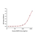 Standard Curve - Recombinant Human BMPR2 Protein (C-terminal His Tag) (A330166) - Antibodies.com