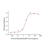 Proliferation Assay - Recombinant Human BTC Protein (C-terminal Human Fc Tag) (A330167) - Antibodies.com