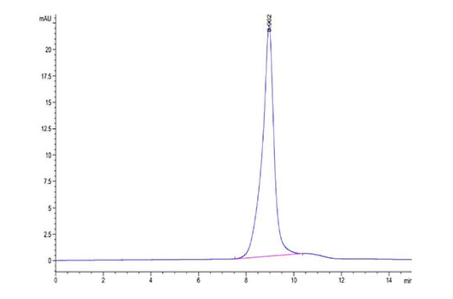 SEC-HPLC - Recombinant Human BTLA Protein (Biotin) (C-terminal His and Avi Tag) (A330168) - Antibodies.com