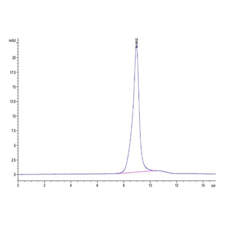 SEC-HPLC - Recombinant Human BTLA Protein (Biotin) (C-terminal His and Avi Tag) (A330168) - Antibodies.com