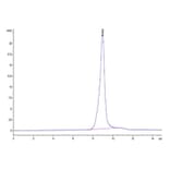 SEC-HPLC - Recombinant Human BTLA Protein (Biotin) (C-terminal His and Avi Tag) (A330168) - Antibodies.com