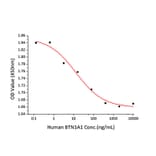 Cell Viability Assay - Recombinant Human BTN1A1 Protein (C-terminal His Tag) (A330170) - Antibodies.com