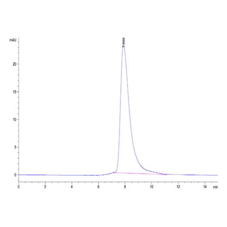 SEC-HPLC - Recombinant Human BTN1A1 Protein (Biotin) (C-terminal His and Avi Tag) (A330172) - Antibodies.com