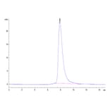 SEC-HPLC - Recombinant Human BTN1A1 Protein (Biotin) (C-terminal His and Avi Tag) (A330172) - Antibodies.com