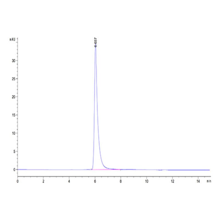 SEC-HPLC - Recombinant Human CD100 Protein (Biotin) (C-terminal His and Avi Tag) (A330216) - Antibodies.com