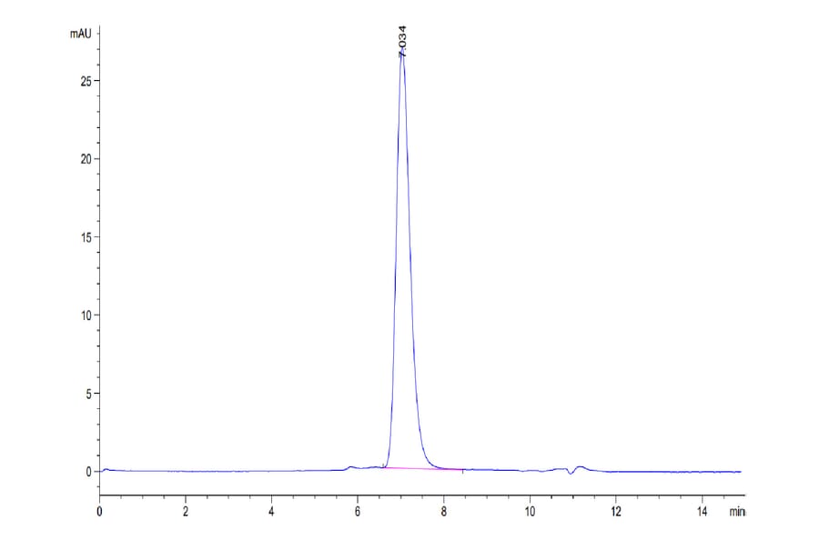 SEC-HPLC - Recombinant Human CD116 Protein (Biotin) (C-terminal His and Avi Tag) (A330219) - Antibodies.com