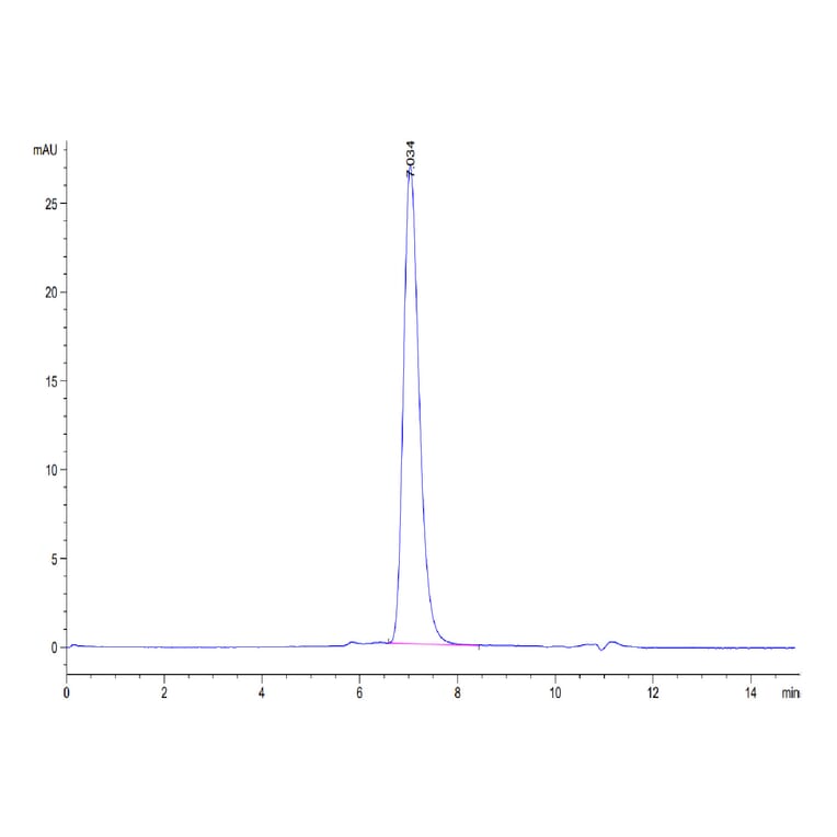 SEC-HPLC - Recombinant Human CD116 Protein (Biotin) (C-terminal His and Avi Tag) (A330219) - Antibodies.com