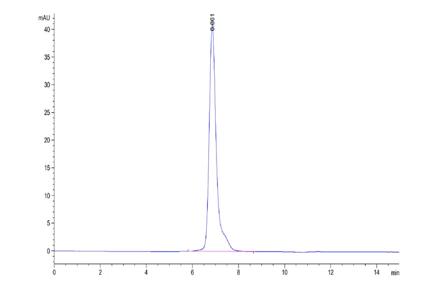 SEC-HPLC - Recombinant Human CD116 Protein (C-terminal Human Fc Tag) (A330220) - Antibodies.com