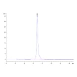 SEC-HPLC - Recombinant Human CD116 Protein (C-terminal Human Fc Tag) (A330220) - Antibodies.com