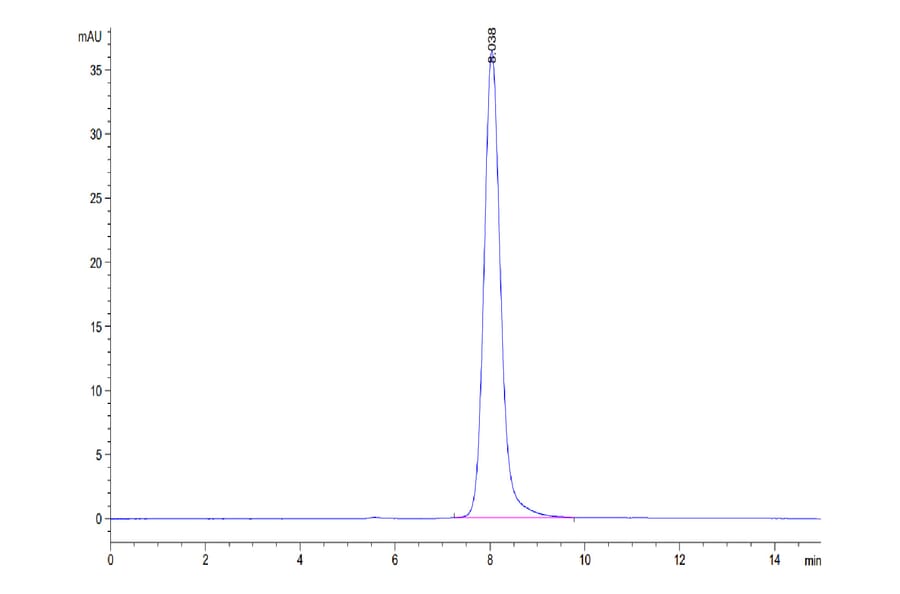 SEC-HPLC - Recombinant Human CD116 Protein (C-terminal His Tag) (A330221) - Antibodies.com