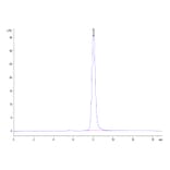 SEC-HPLC - Recombinant Human CD116 Protein (C-terminal His Tag) (A330221) - Antibodies.com