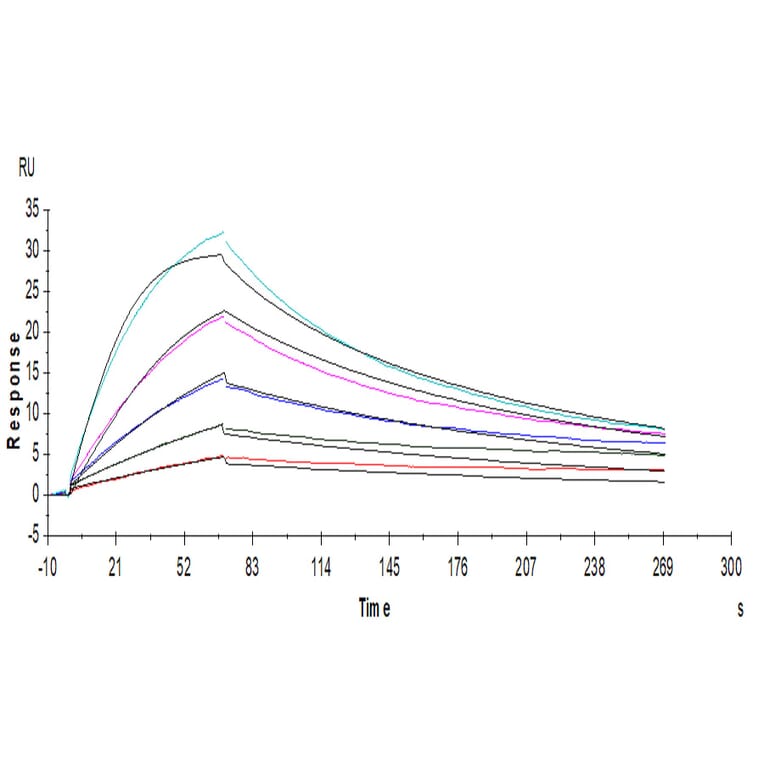 SPR Assay - Recombinant Human CD116 Protein (C-terminal His Tag) (A330221) - Antibodies.com