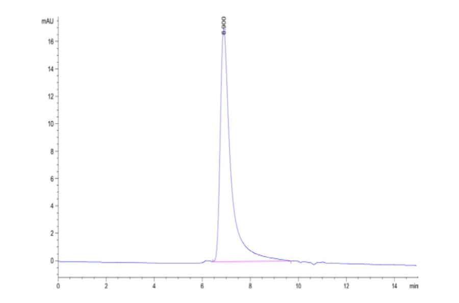 SEC-HPLC - Recombinant Human CD134/OX40L Receptor Protein (C-terminal His and Avi Tag) (A330227) - Antibodies.com