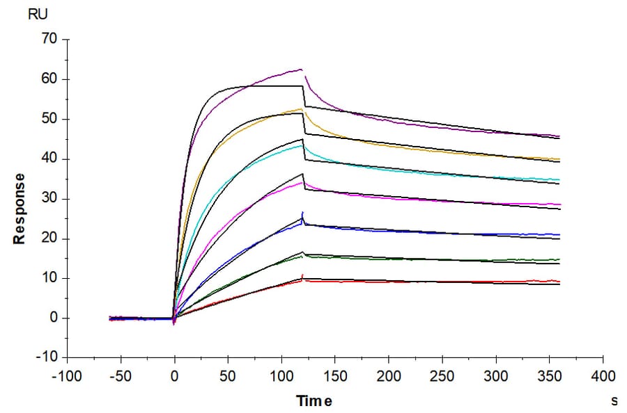 SPR Assay - Recombinant Human CD134/OX40L Receptor Protein (C-terminal His and Avi Tag) (A330227) - Antibodies.com